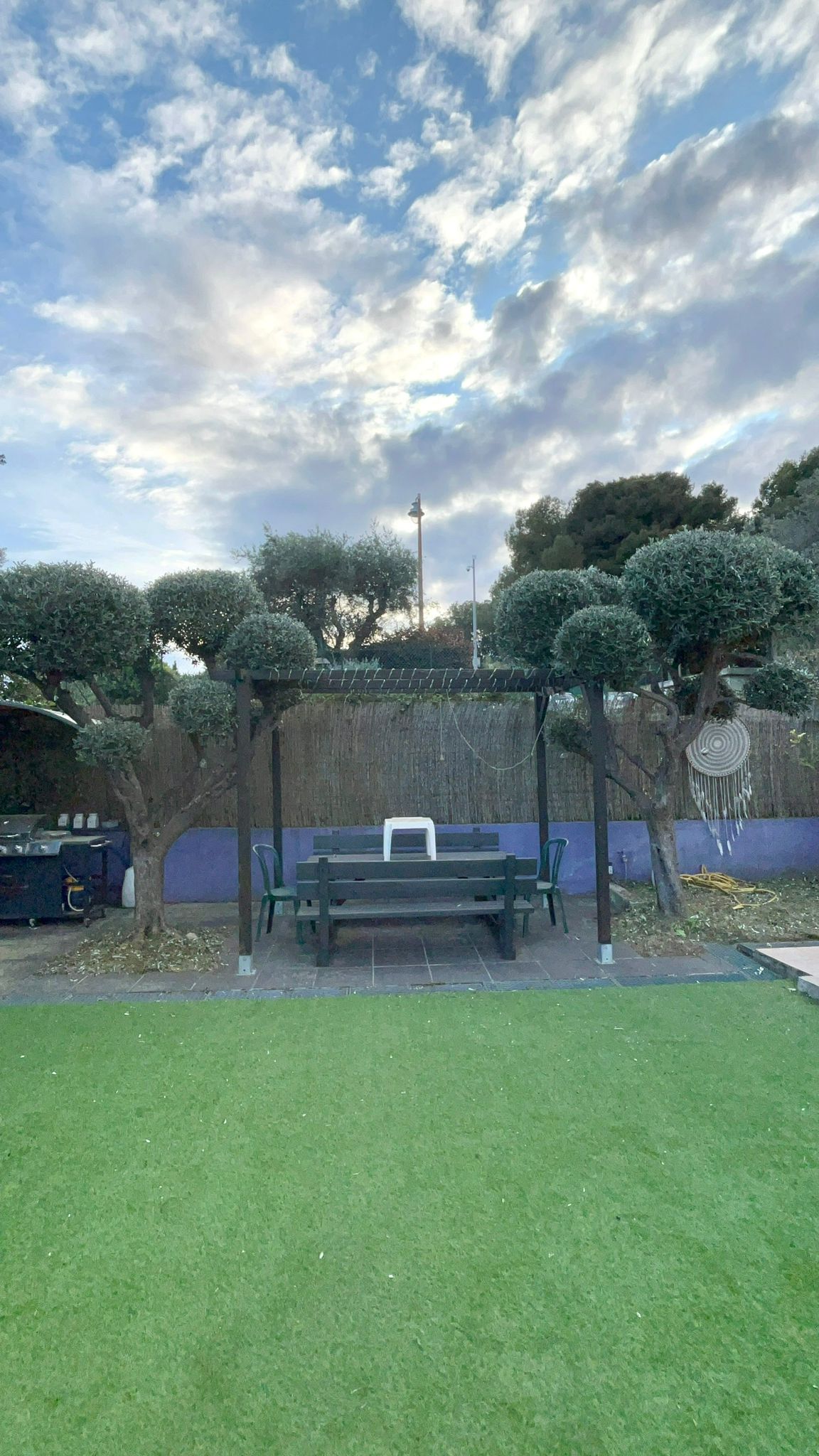 Pergola avec oliviers taillés en boule
