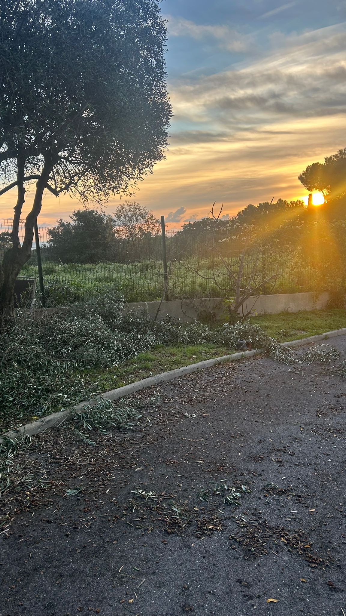Chantier de débroussaillage au coucher de soleil