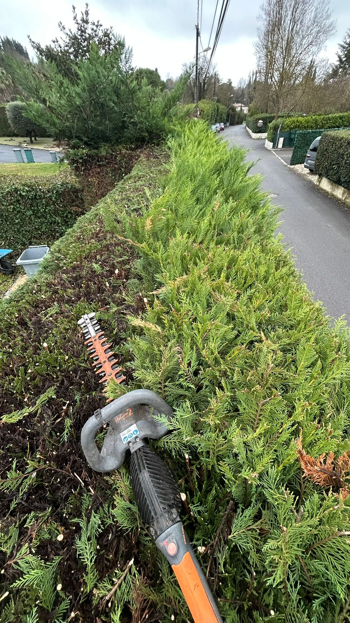Taille de haie en cours avec taille-haie professionnel