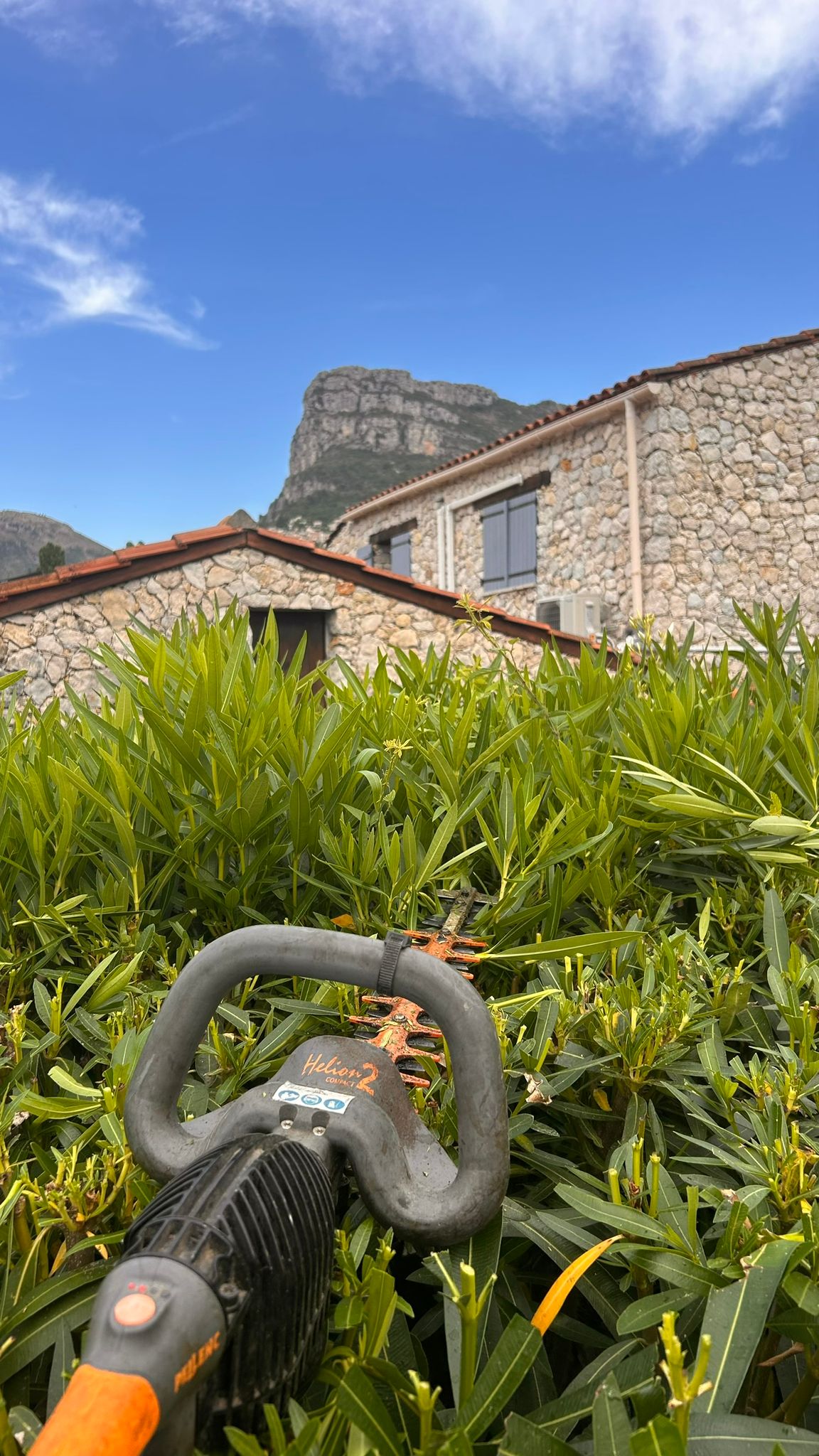 Taille de lauriers devant mas en pierre, Alpes-Maritimes