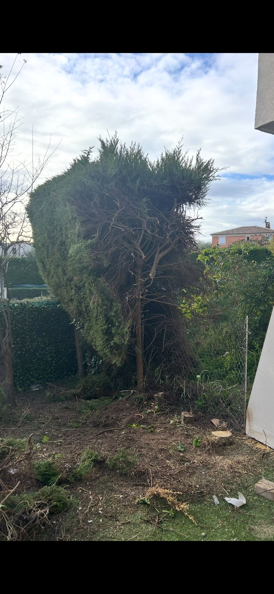 Avant : Jardin avant aménagement